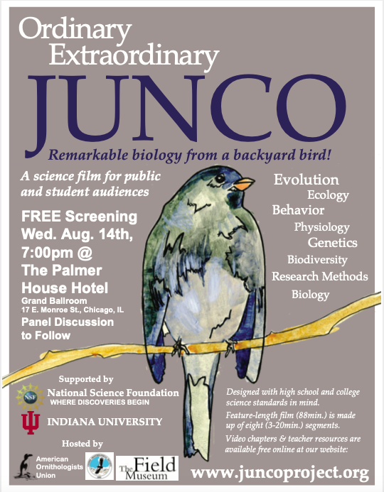 Movie Posters: Screenings: A science film for public and student audiences  Ordinary Extraordinary Junco: Indiana University Bloomington